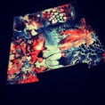 SHORT-SAIA GAM